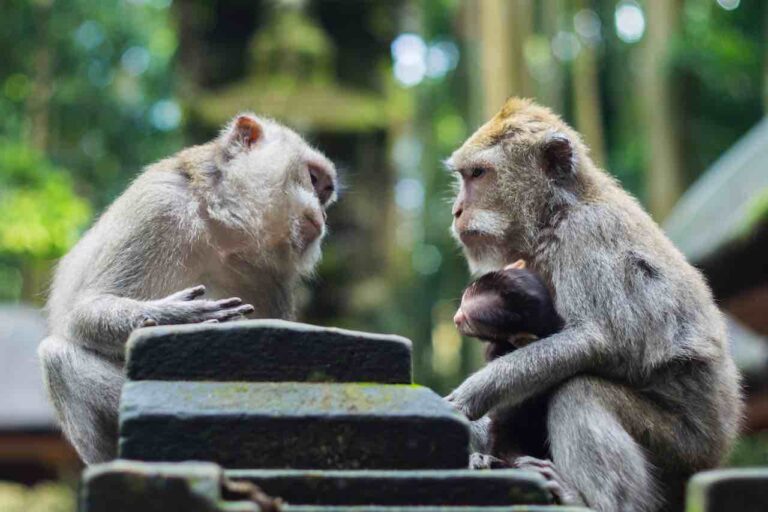 De 25 handigste tips voor effectieve gesprekken op je werk